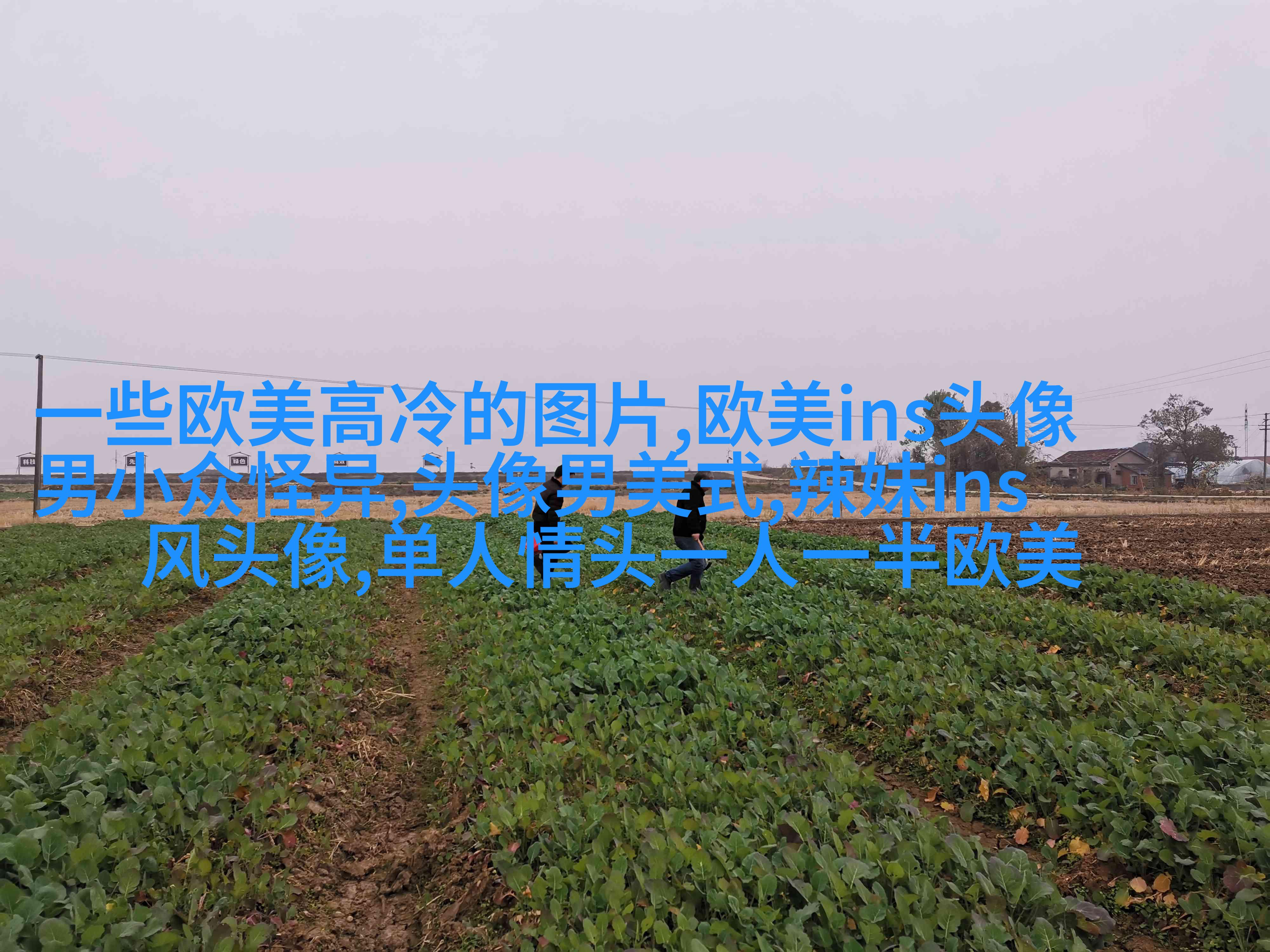 欧美黑白女生头像