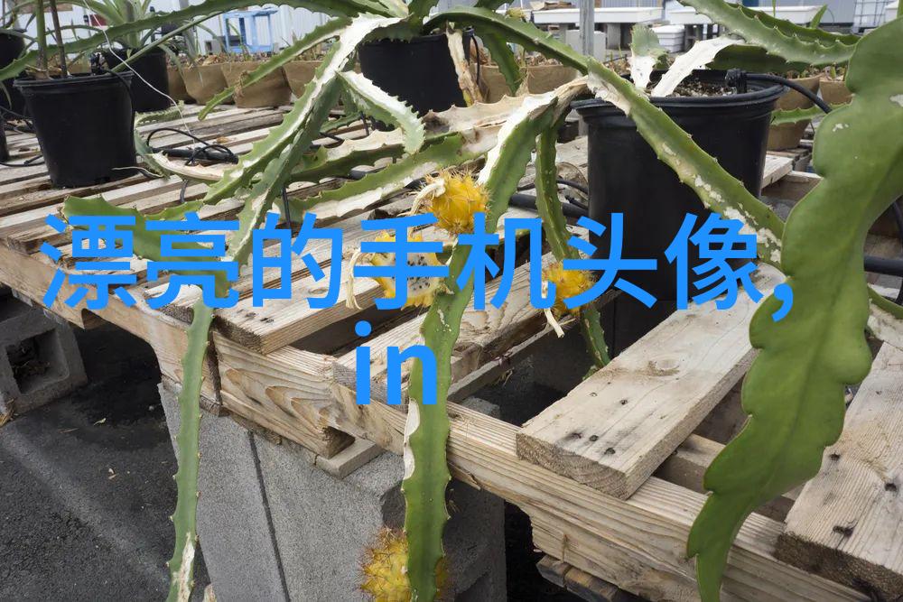 欧美头像女生短发时尚