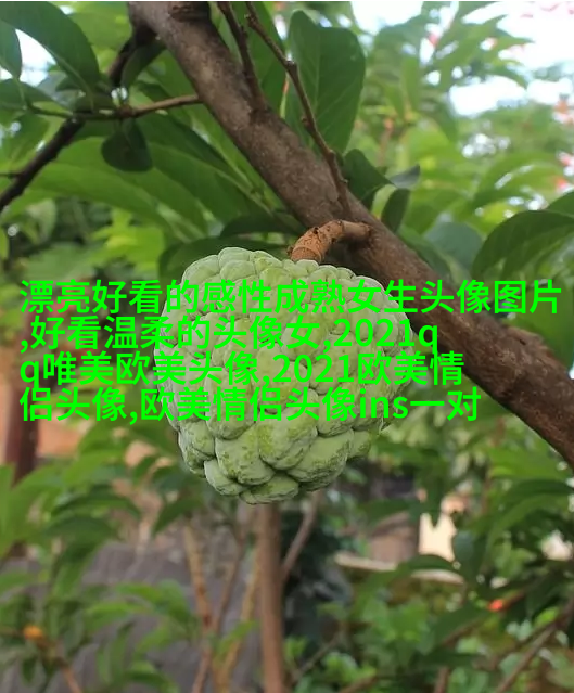 现在最流行的欧美范头像(共20张)