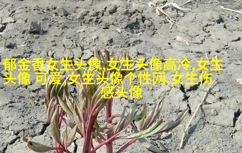 高清好看的个性独立漫画女生头像图片大全(共24张)