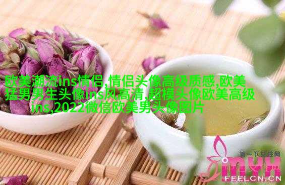 2023欧美最火爆微信头像(共22张)