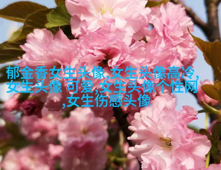高清好看的个性独立漫画女生头像图片大全(共24张)