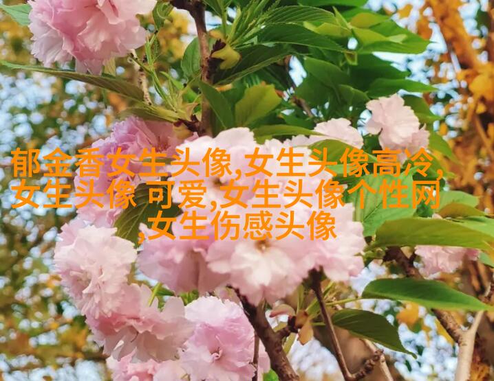 高清好看的个性独立漫画女生头像图片大全(共24张)