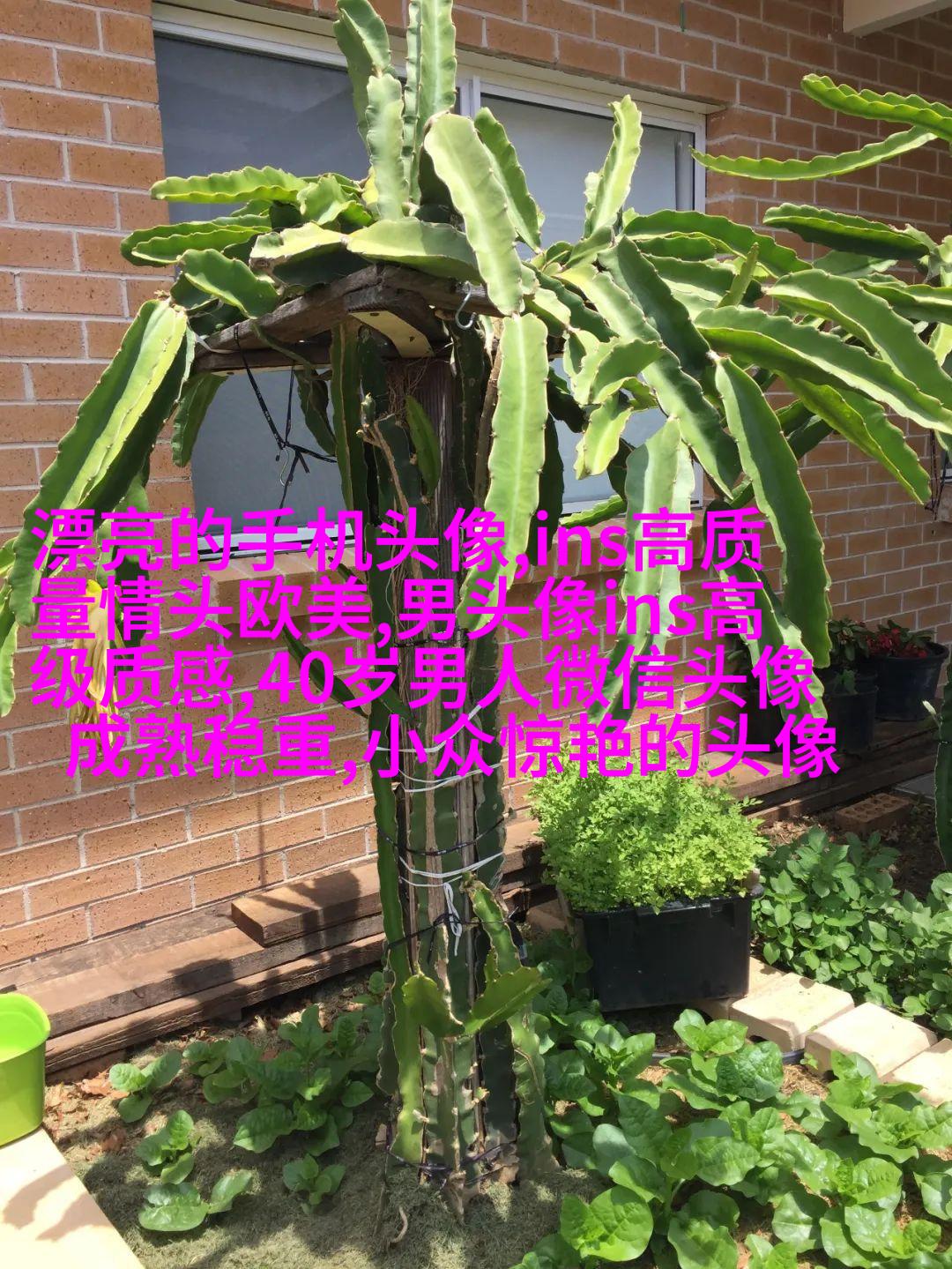 欧美头像女生短发时尚