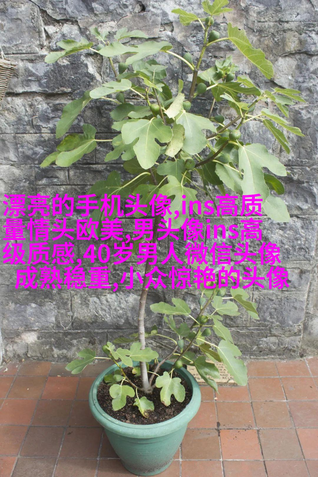 欧美头像女生短发时尚