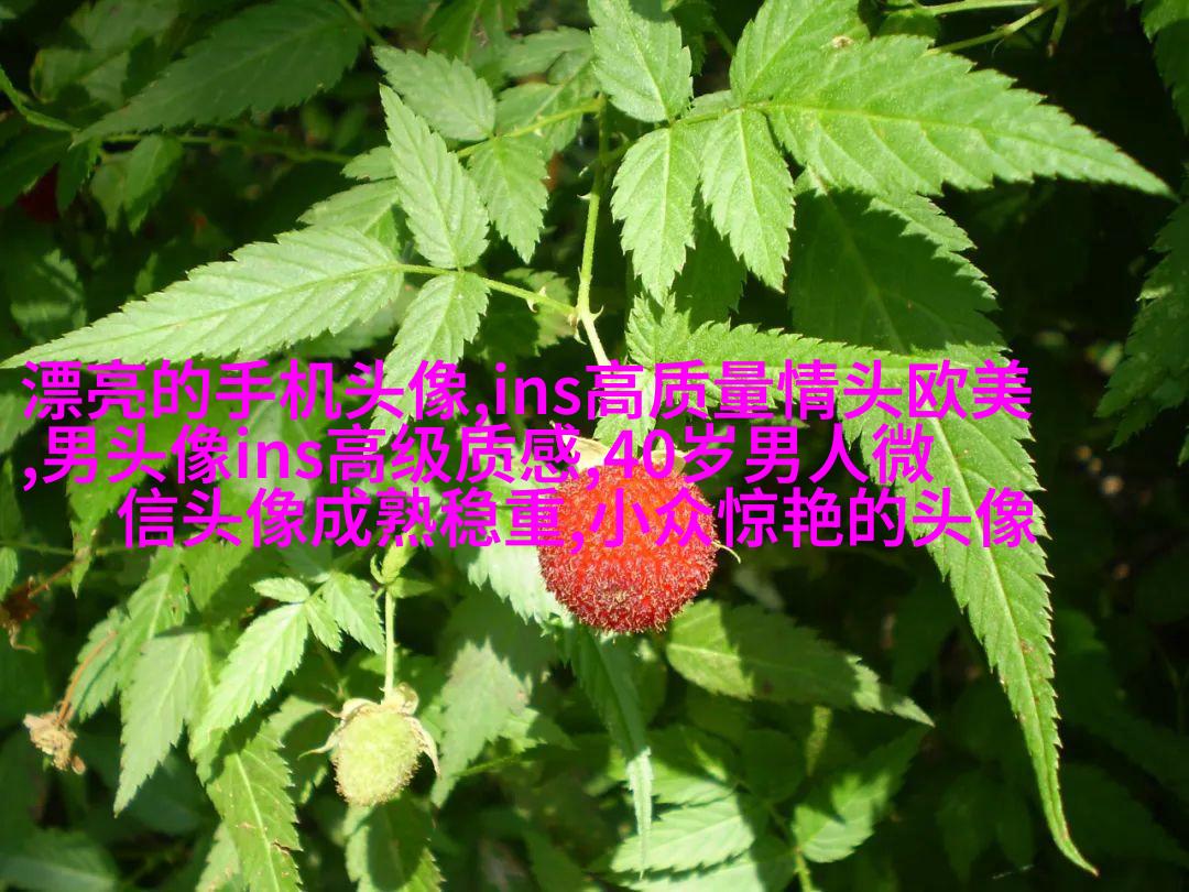 欧美头像女生短发时尚